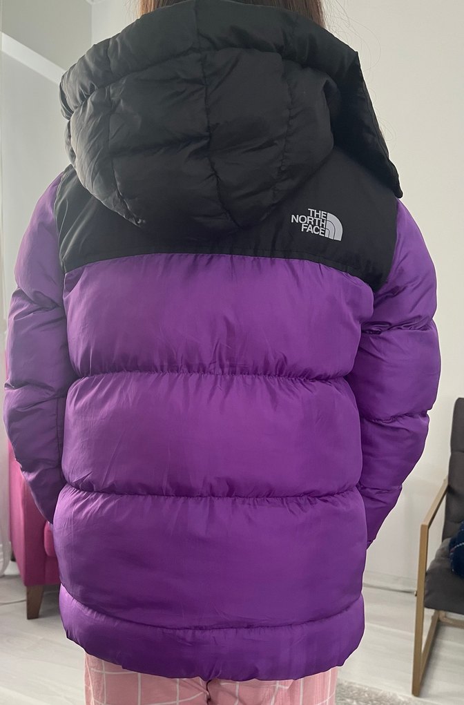 Mor Erkek The North Face Şişme Mont - Görsel 4