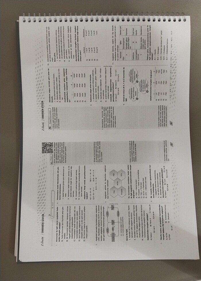 Palme Ayt Biyoloji video çözümlü soru kitabı - Görsel 4