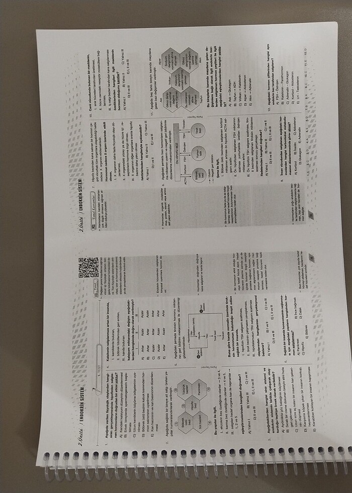 Palme Ayt Biyoloji video çözümlü soru kitabı - Görsel 3