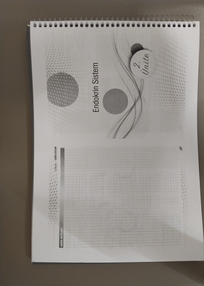 Palme Ayt Biyoloji video çözümlü soru kitabı - Görsel 2