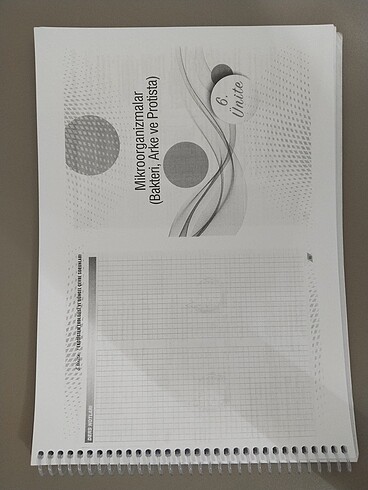 Palme Tyt Biyoloji soru bankası - Görsel 4