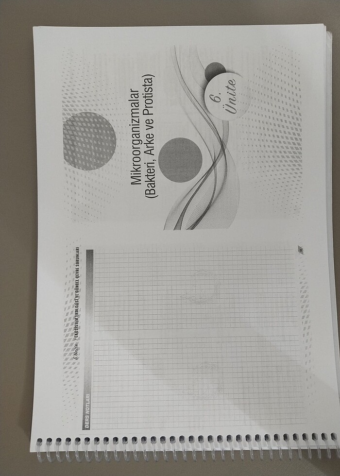 Palme Tyt Biyoloji soru bankası - Görsel 4