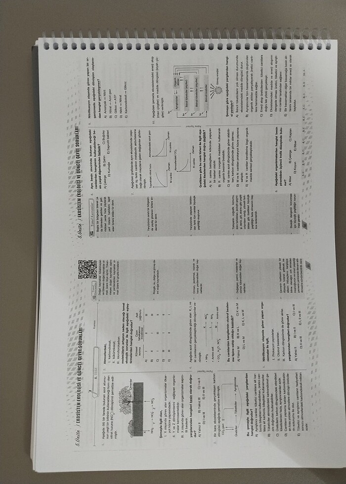 Palme Tyt Biyoloji soru bankası - Görsel 3