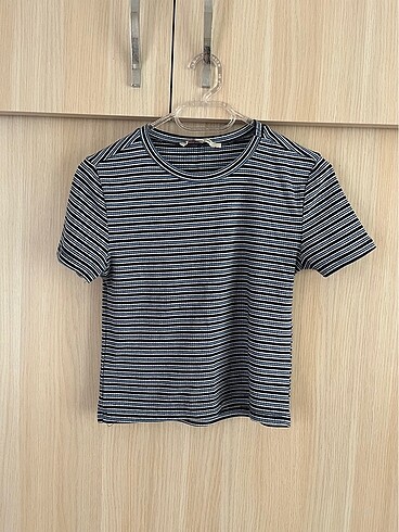 kisa kollu crop