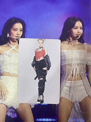 Rose born pink pc