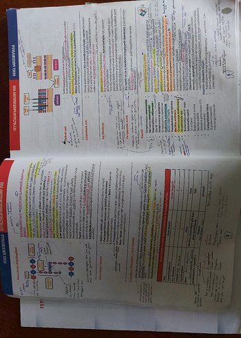  Mikrobiyoloji Konu Kitabı 2. Baskı