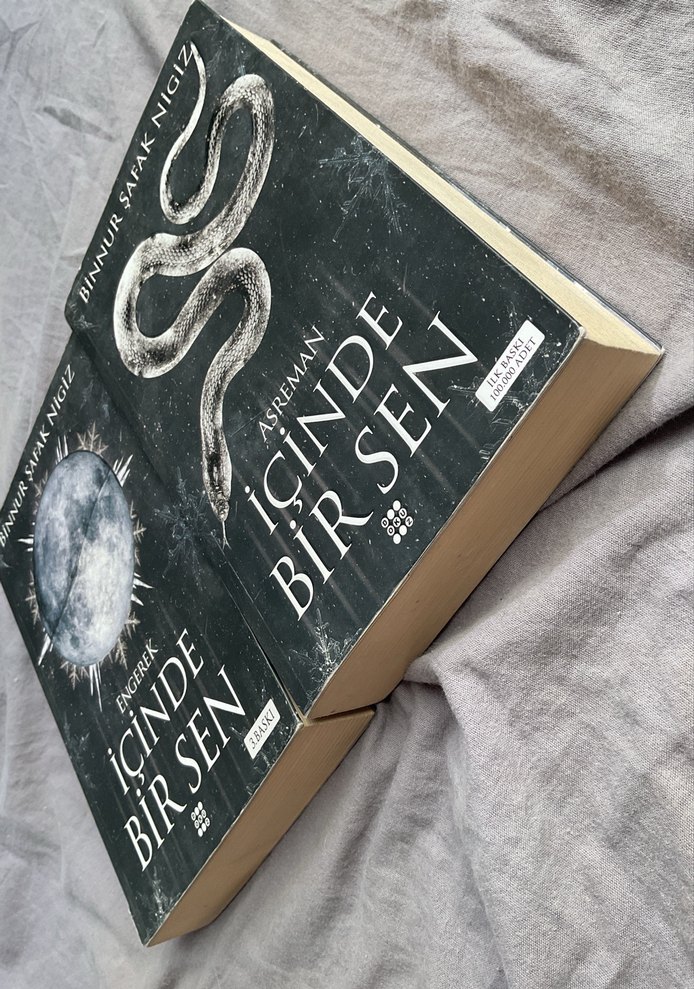 İçinde Bir Sen - Binnur Şafak Nigiz - Görsel 2