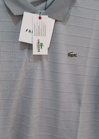 Gri Kısa Kollu Polo Tişört - Görsel 2