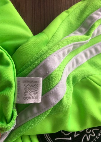 l Beden yeşil Renk Adidas 2015 Ajax Forması