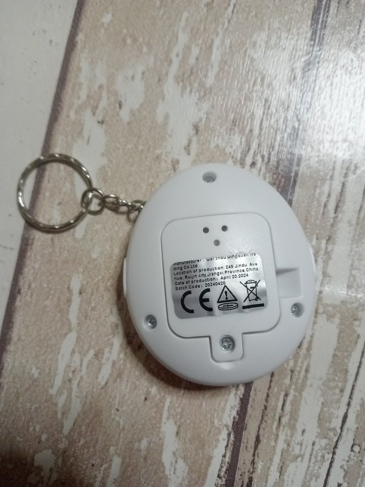 Sanal bebek (TAMOGACHİ) - Görsel 2