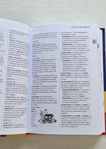 Longman Pocket Phrasal Verbs Sözlüğü - Görsel 5