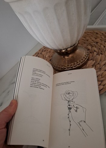 Süt ve Bal - Rupi Kaur - Görsel 2