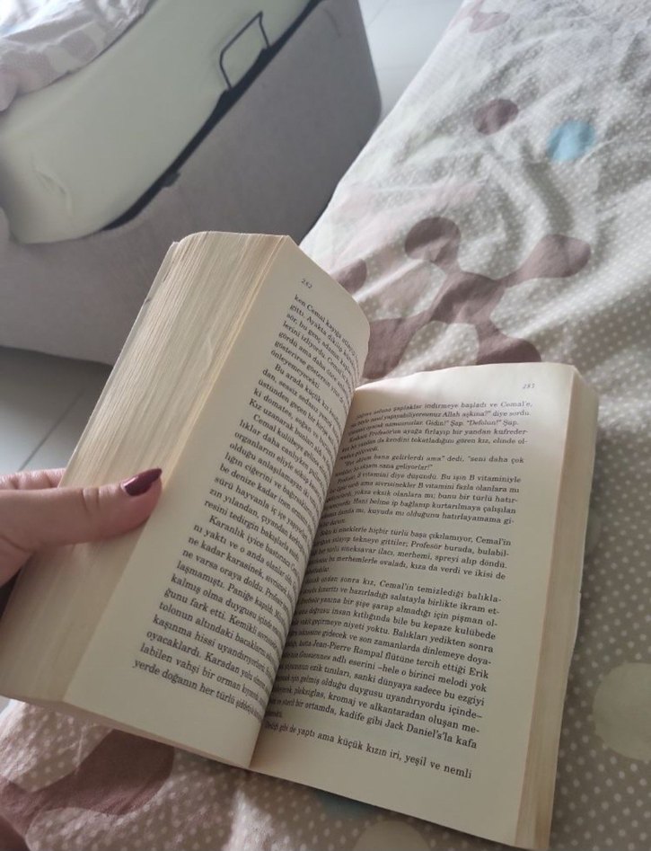 Mutluluk (Roman) - Görsel 2