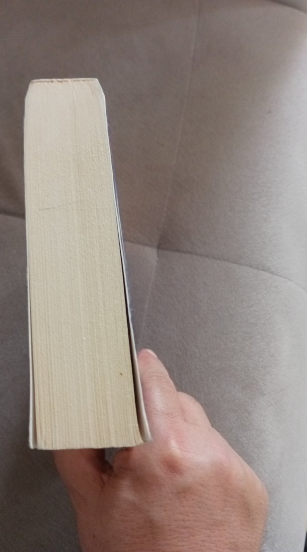 Beden Kayıt Tutar - Travma İyileşmesi Kitabı - Görsel 3