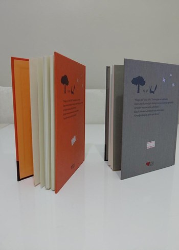 Küçük Prens Özel Baskı Kitap - Görsel 3