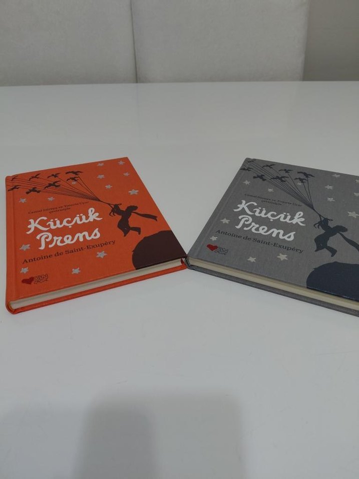 Küçük Prens Özel Baskı Kitap - Görsel 2