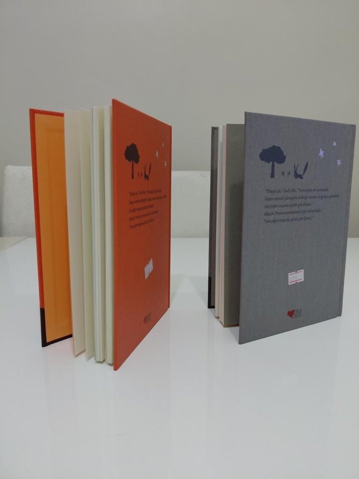 Küçük Prens Özel Baskı Kitap - Görsel 3