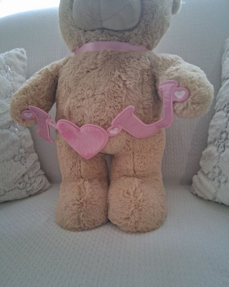 Peluş Ayıcık Oyuncak - Görsel 2