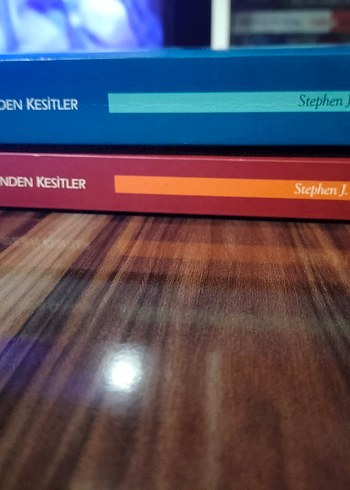 Avrupa Tarihinden Kesitler 2 cilt - Görsel 5