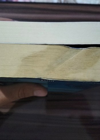 Avrupa Tarihinden Kesitler 2 cilt - Görsel 4