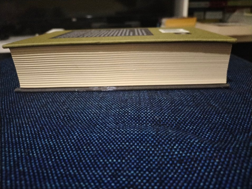 Alamut - Vladimir Bartol - Görsel 4