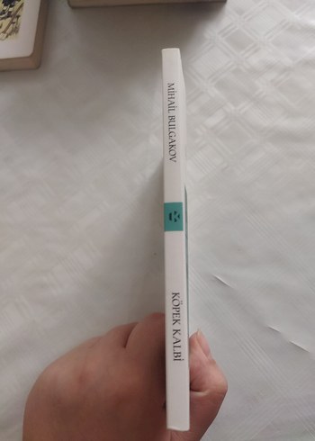 Mihaıl Bulgakov - Köpek Kalbi Romanı - Görsel 4