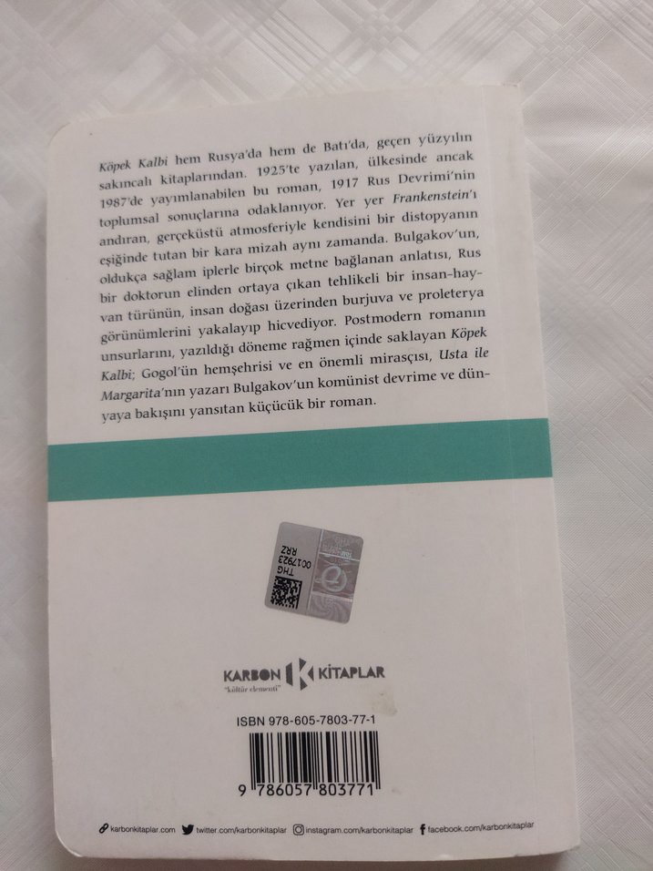 Mihaıl Bulgakov - Köpek Kalbi Romanı - Görsel 3