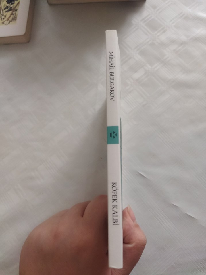 Mihaıl Bulgakov - Köpek Kalbi Romanı - Görsel 4