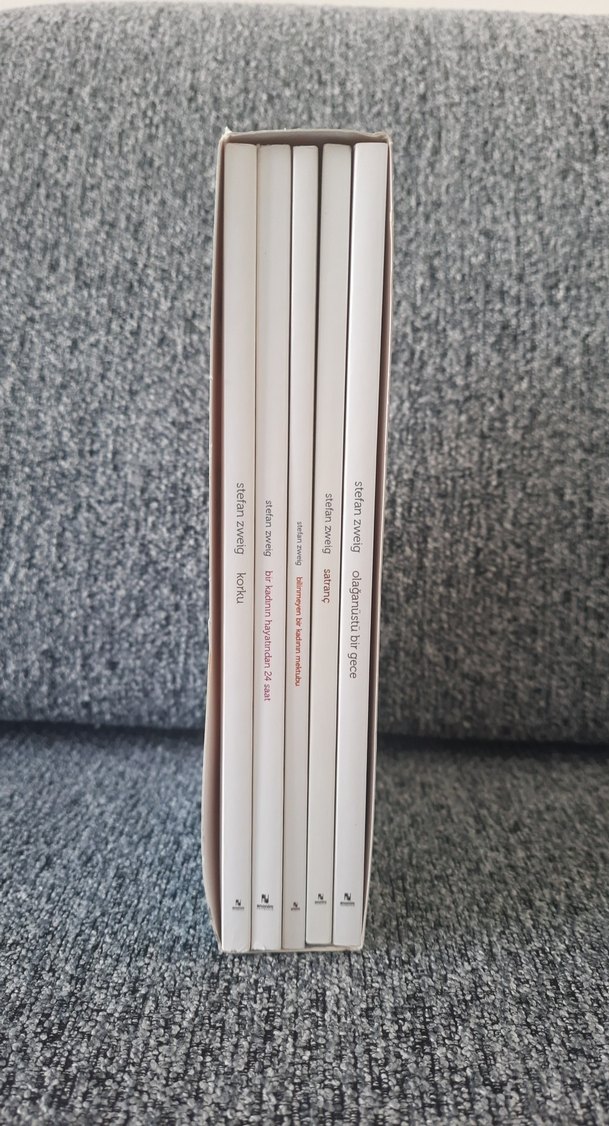 Stefan Zweig roman seti - Görsel 2