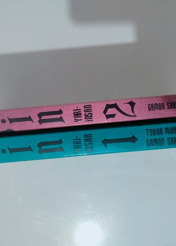 Beden Renk Karışık manga set