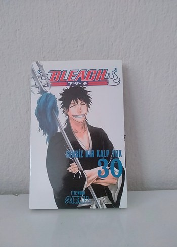 Bleach 30. Cilt