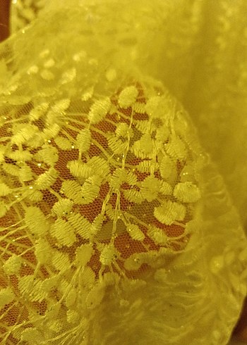 Bej Dantelli V Yaka Uzun Abiye Elbise - Görsel 4