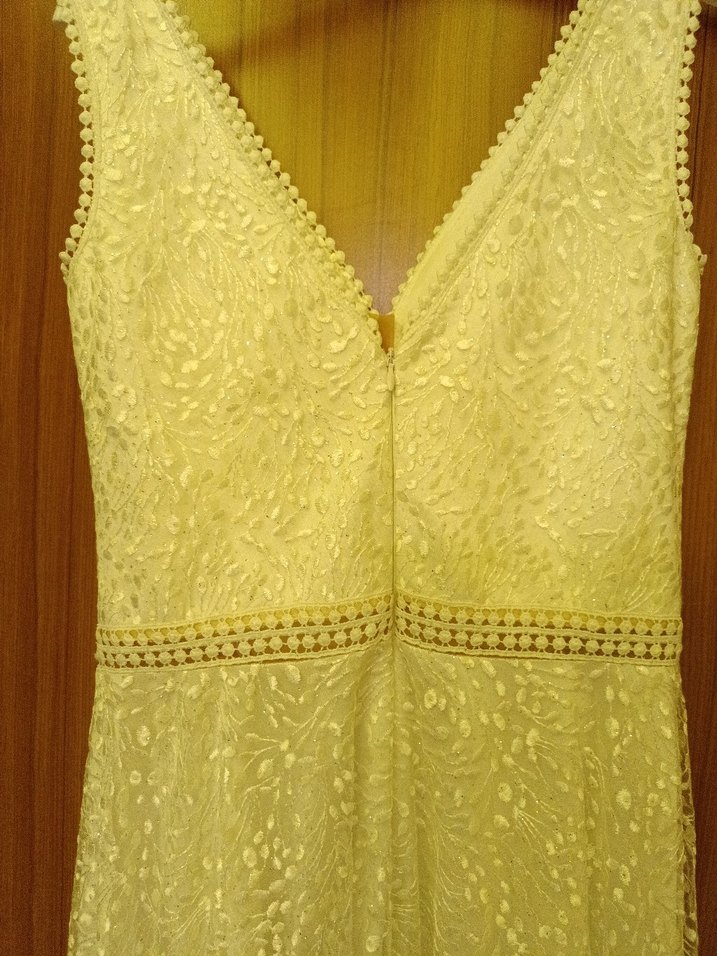 Bej Dantelli V Yaka Uzun Abiye Elbise - Görsel 5