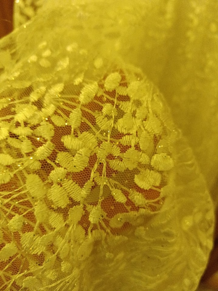 Bej Dantelli V Yaka Uzun Abiye Elbise - Görsel 4