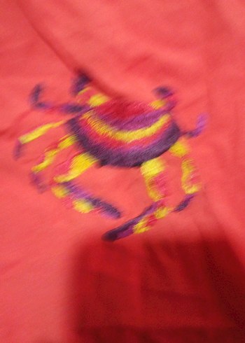 Nakışlı Kısa Kollu Kırmızı Bohem Gömlek y2k - Görsel 3