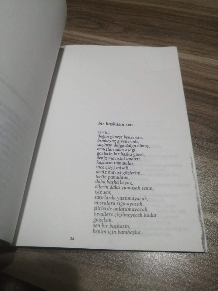 Kelebek Düşleri Şiir Kitap - Görsel 2