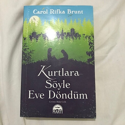 Carol Rifka Brunt - Kurtlara Söyle Eve Döndüm