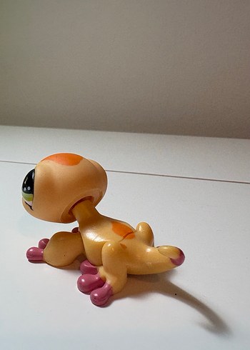 Lps kertenkele miniş - Görsel 2