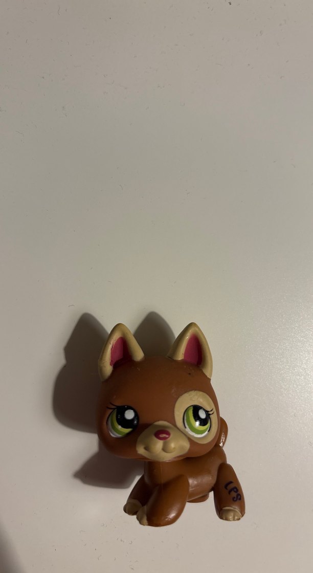 Lps köpek miniş - Görsel 5