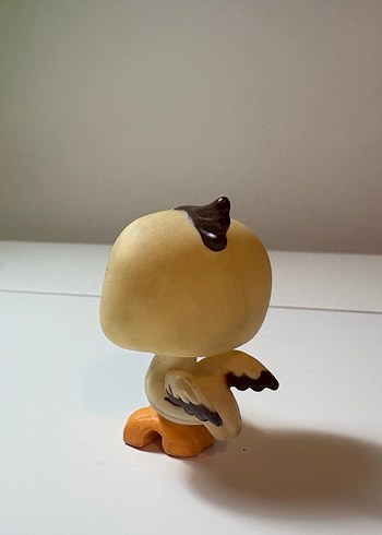 Lps pelikan miniş - Görsel 2