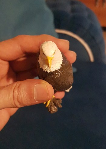 papo kartal 2015 yılına ait - Görsel 9