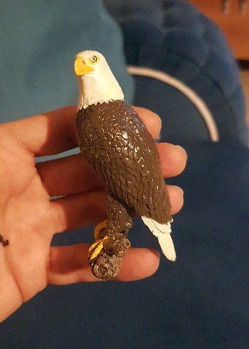 papo kartal 2015 yılına ait - Görsel 8