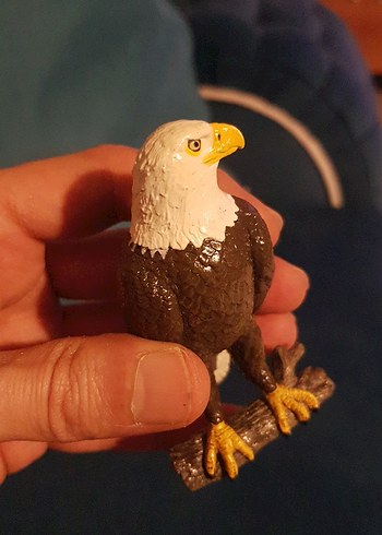 papo kartal 2015 yılına ait - Görsel 5