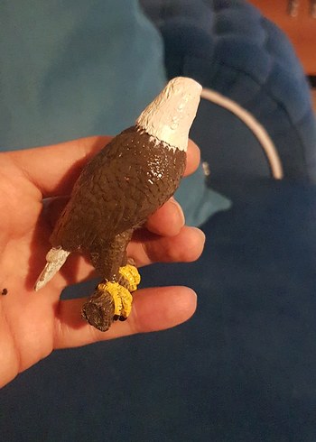 papo kartal 2015 yılına ait - Görsel 7