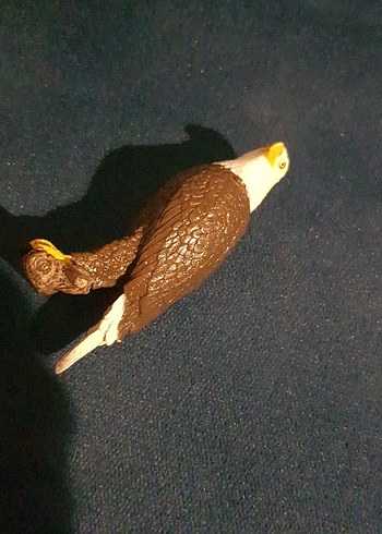 papo kartal 2015 yılına ait - Görsel 11