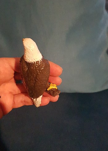 papo kartal 2015 yılına ait - Görsel 3