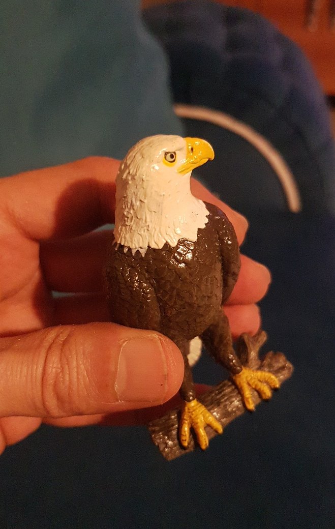 papo kartal 2015 yılına ait - Görsel 5