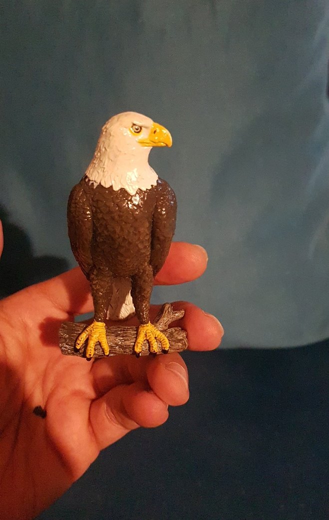 papo kartal 2015 yılına ait - Görsel 2