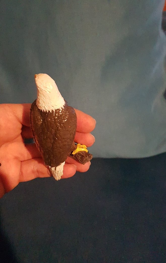 papo kartal 2015 yılına ait - Görsel 3