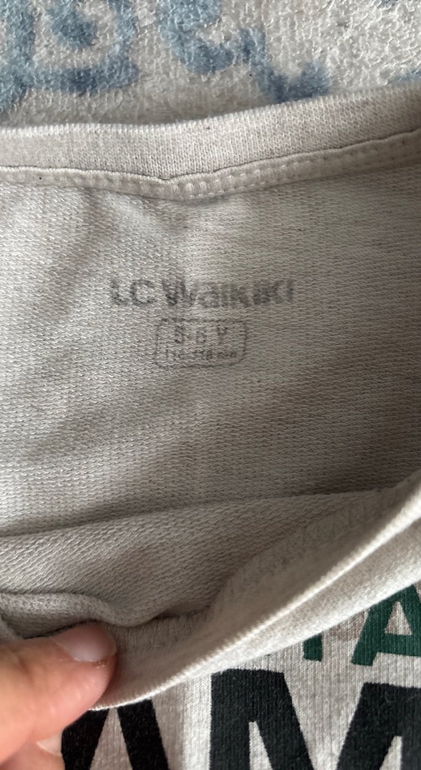 Gri Erkek Sweatshirt, Baskılı, Uzun Kollu - Görsel 2